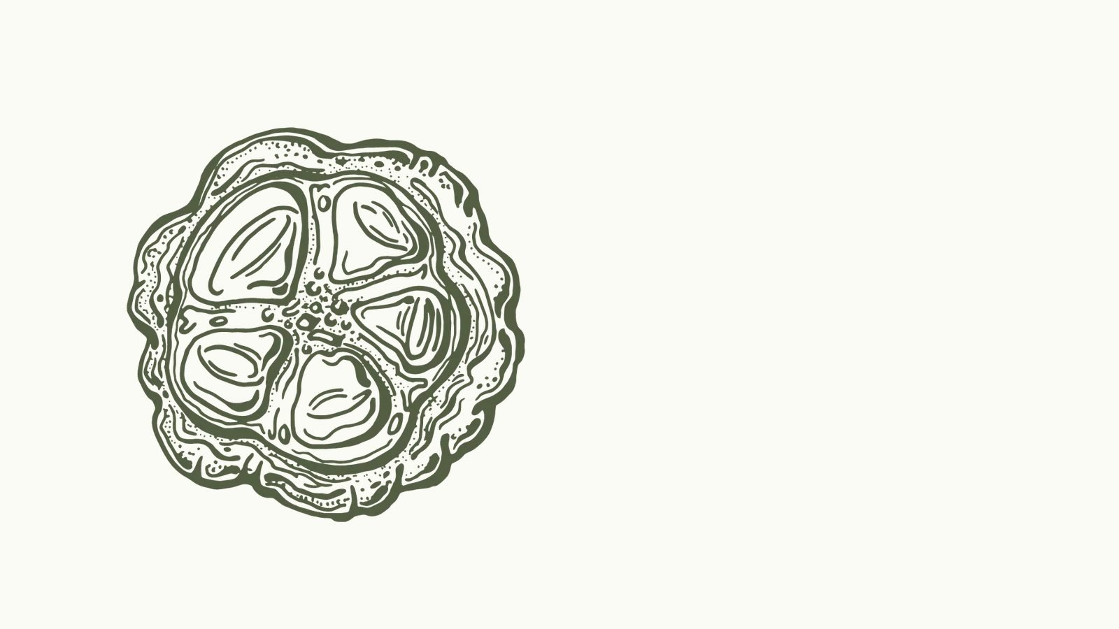 Cacao biodiverso