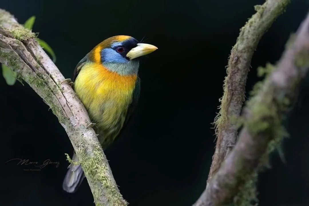 Visita técnica a una finca aliada