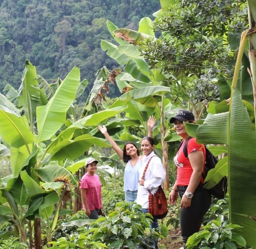 Cosecha biodiversa