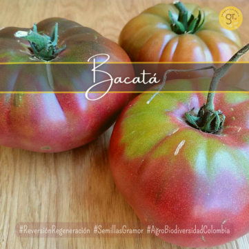 cambio de paradigma (100)