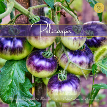 cambio de paradigma (94)